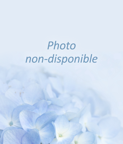 Diane Meunier Leavey