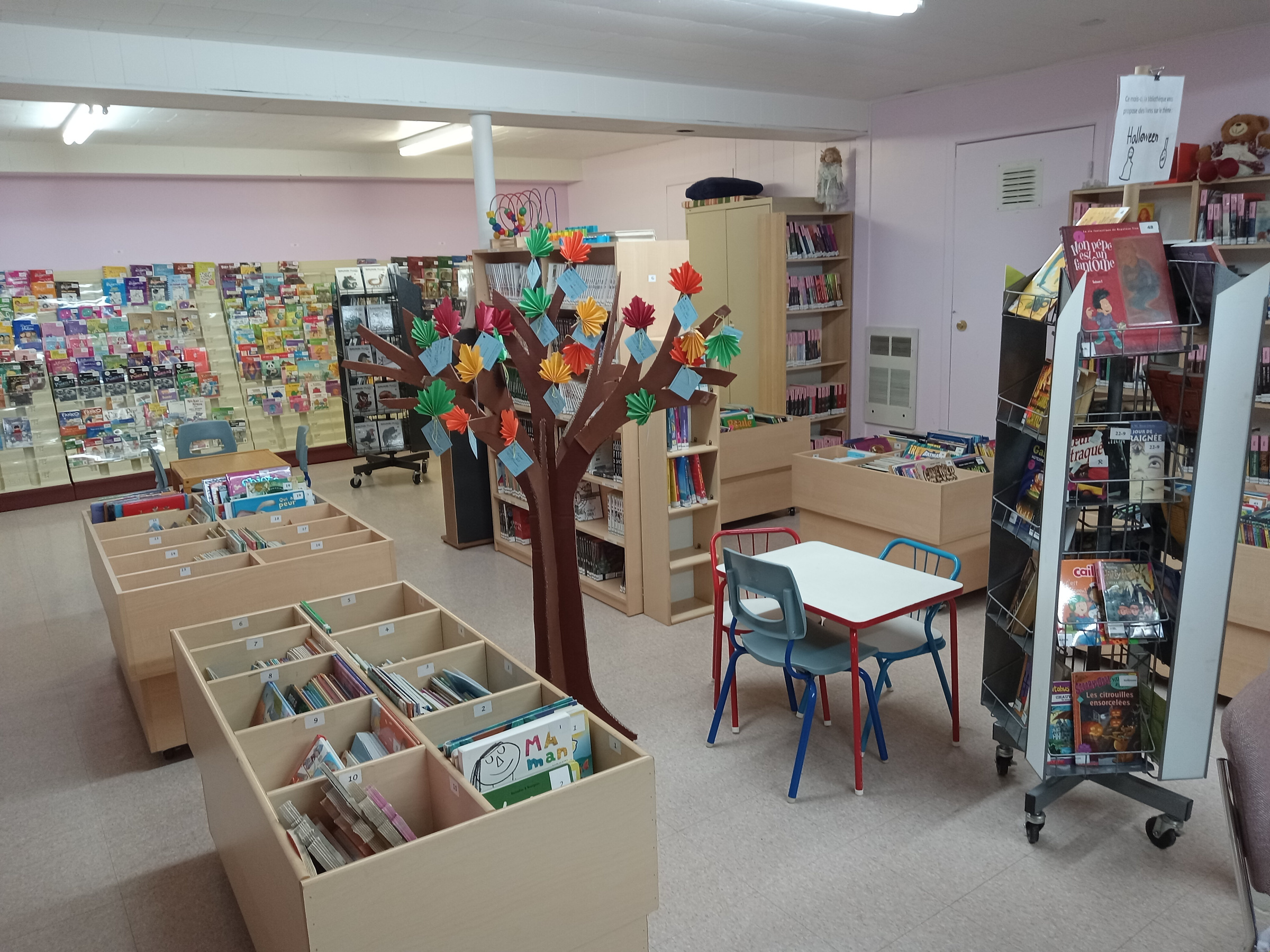 SaintBernarddeLacolle la bibliothèque ouvre ses portes au public Coup d’œil