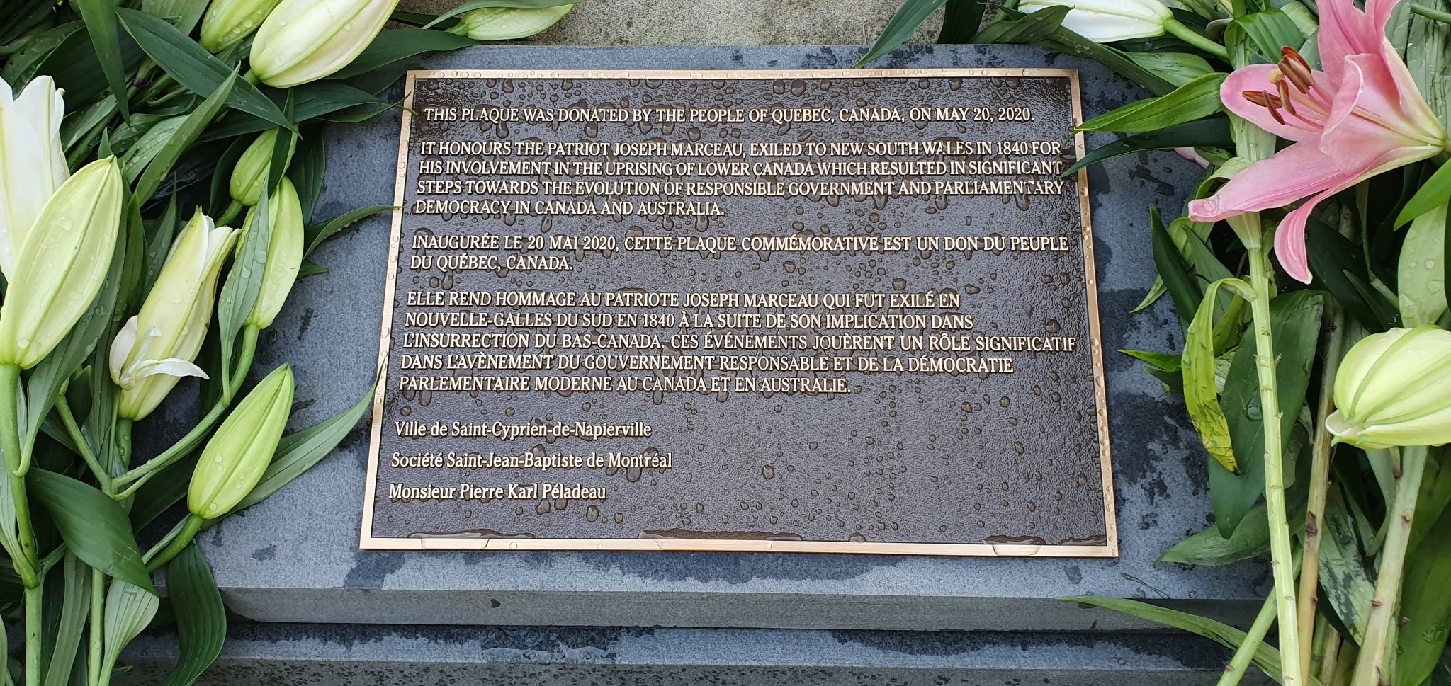 Un Patriote de SaintCypriendeNapierville une plaque en l'honneur de