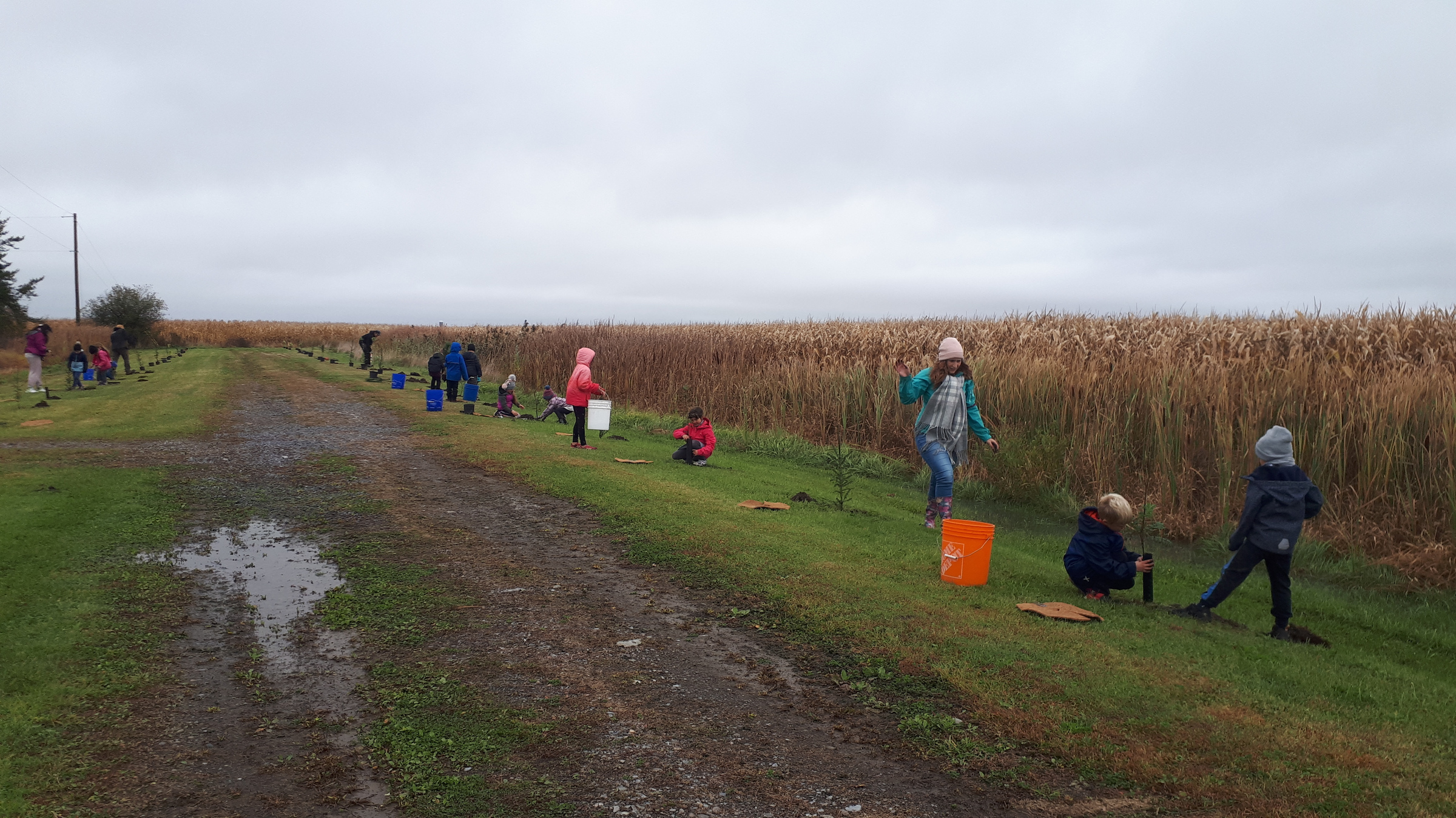 SaintBlaisesurRichelieu poursuit le verdissement de son parc Au Vent Fou Coup d’œil